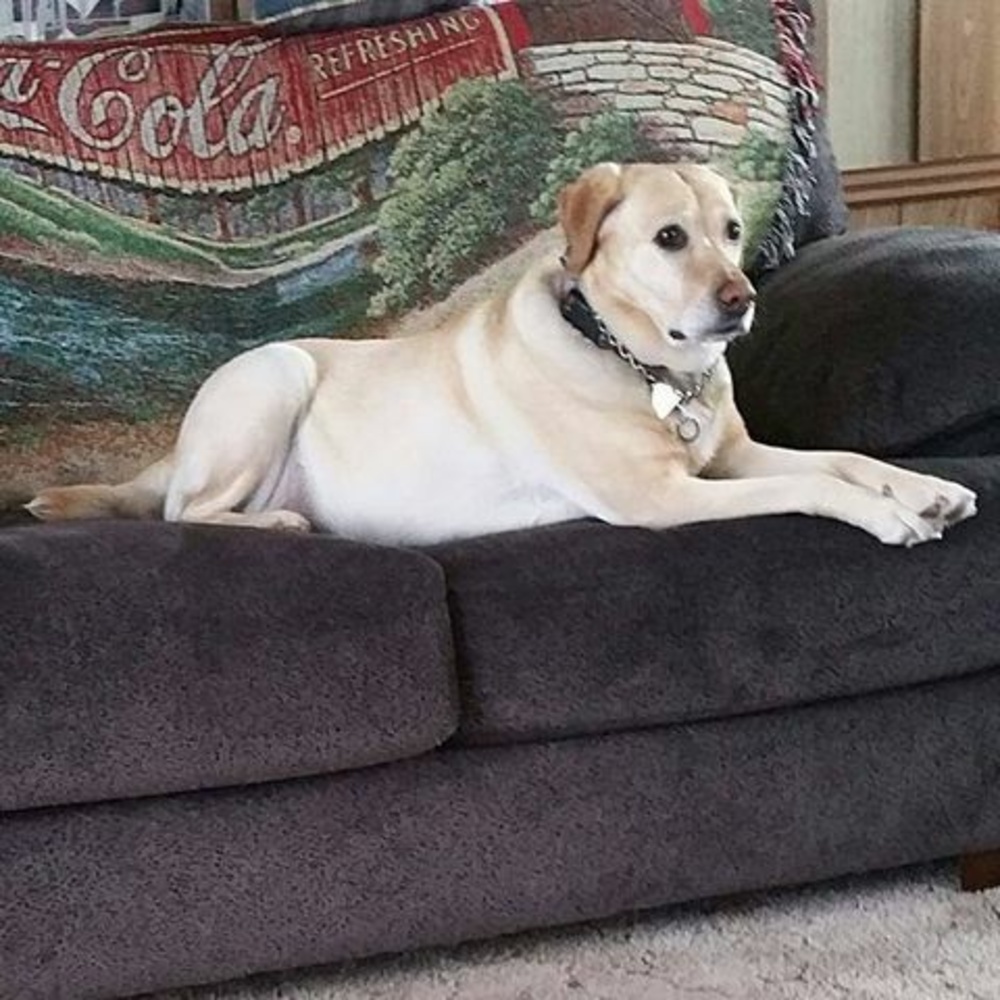 Meet your Posher, Nancy